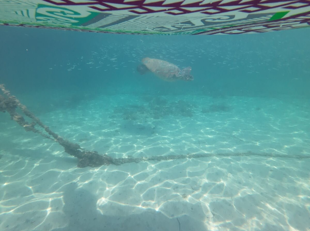 SUP Tours Paphos-Coral Bay必去景点