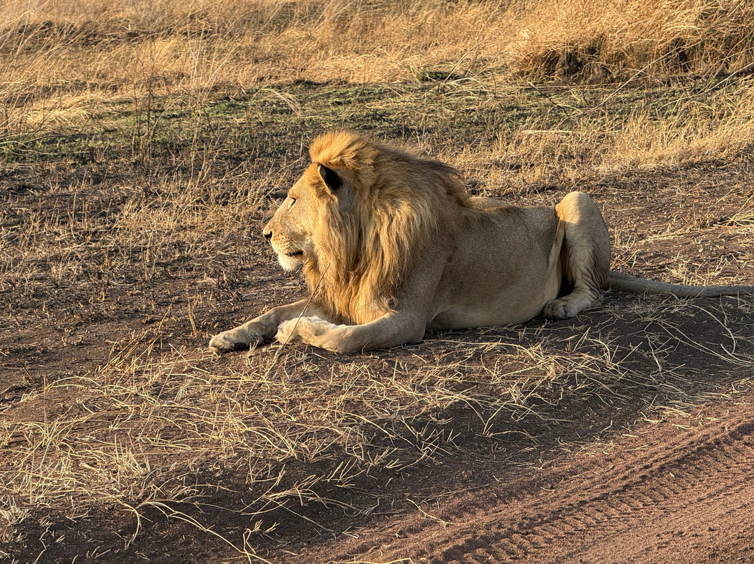Marafiki Safaris & Cultural Tours-巴加莫约必去景点