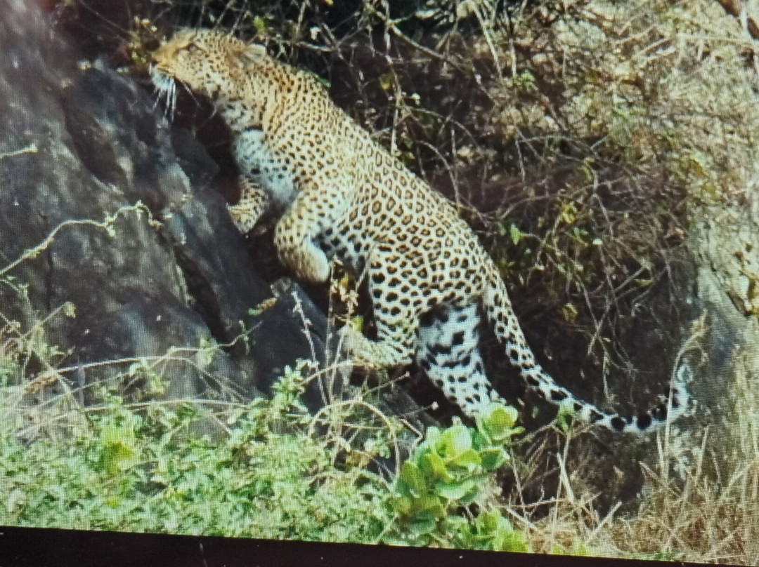 Serengeti National Park