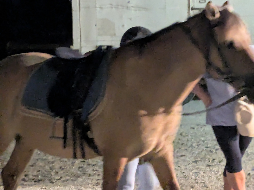 Finikia Horseriding-Finikia必去景点