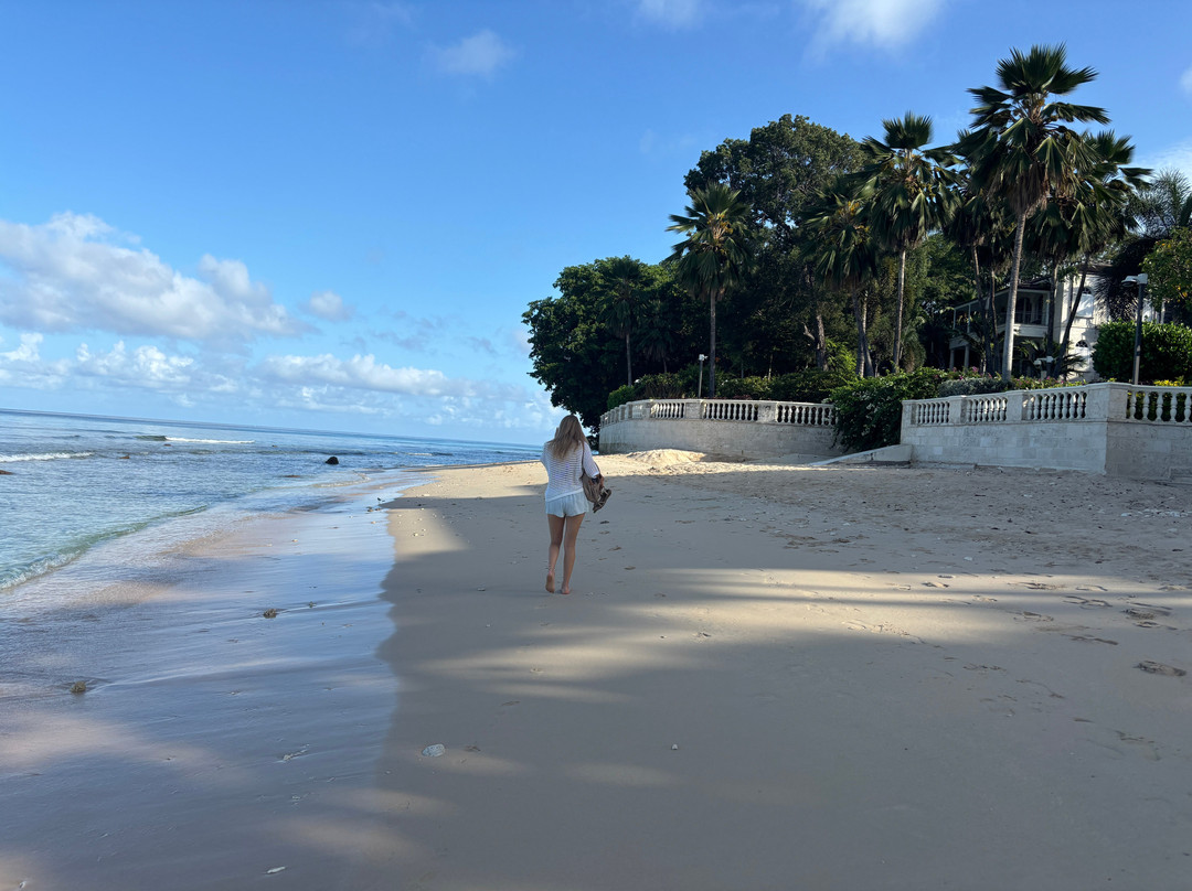 Paynes Bay Beach-Paynes Bay必去景点