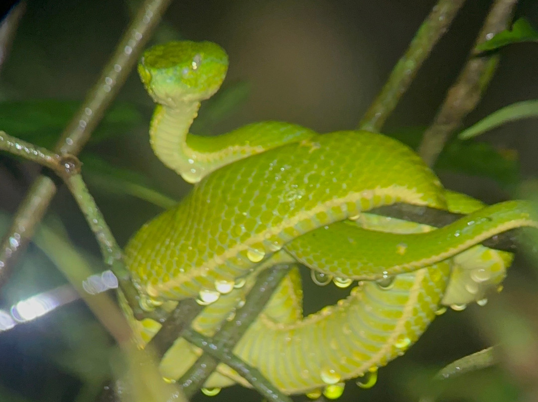 Costa Rica One On One Tours-Playas del Coco必去景点