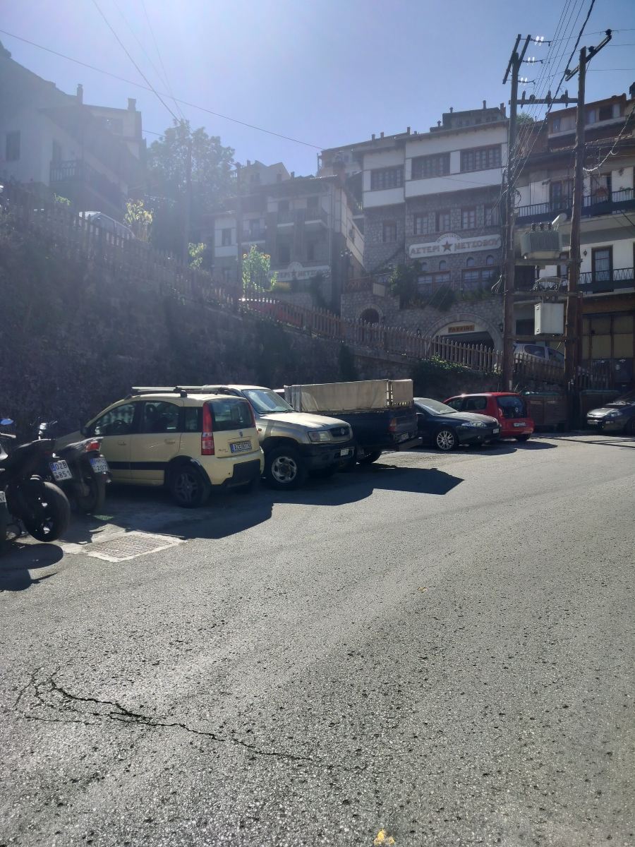 Asteri Metsovo Hotel S.A.-度假村/酒店