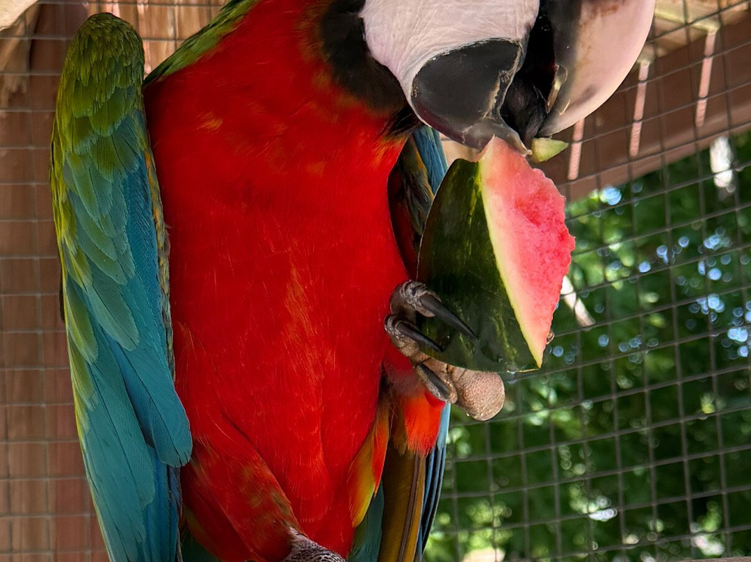 Jungle Experience Zoo-Granville必去景点