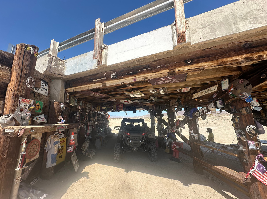 San Diego Dune Tours-Ocotillo必去景点