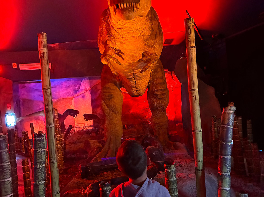 Jurassic Discovery-Seaton必去景点
