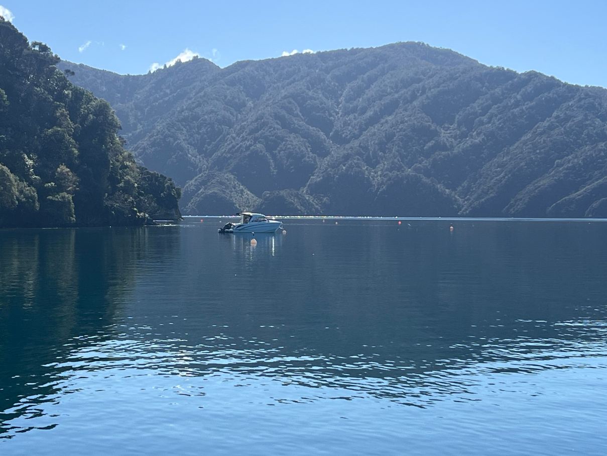 千洞湾度假村-旅行者