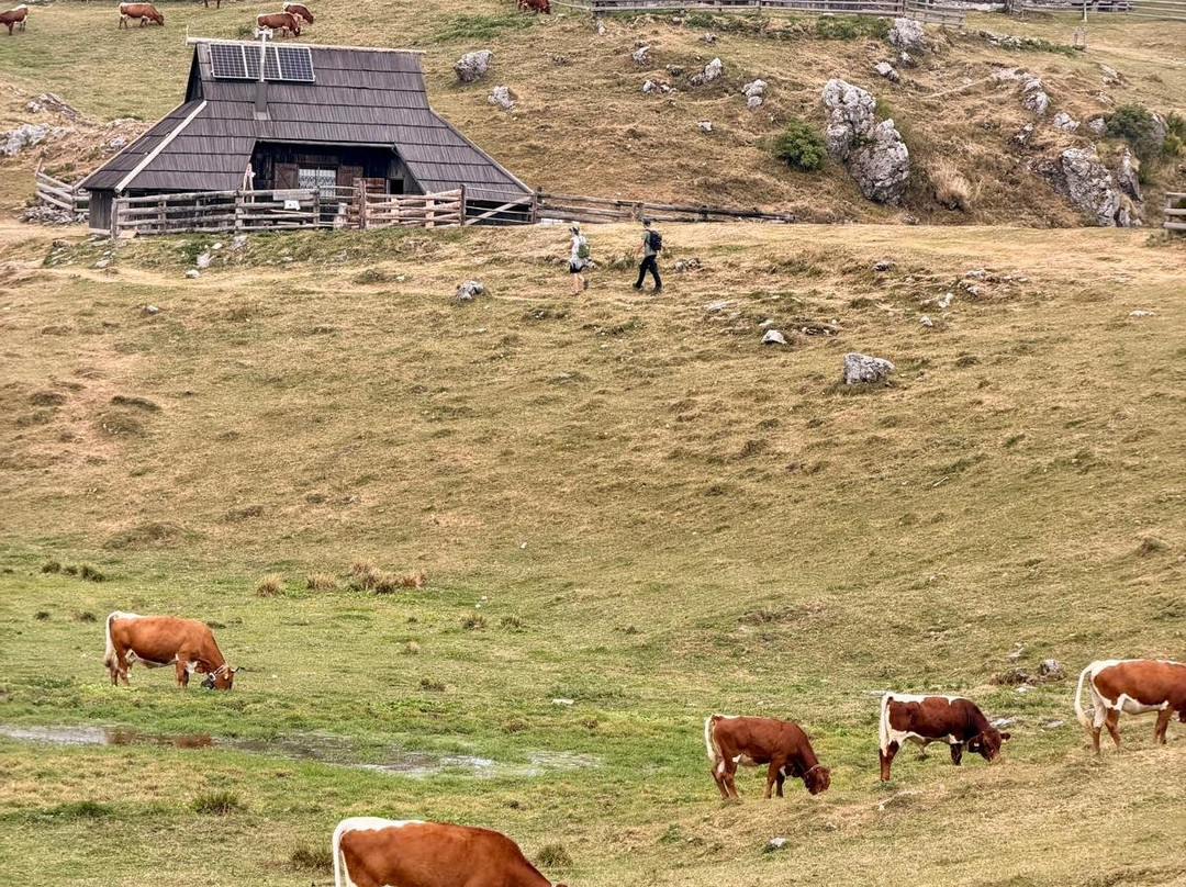 Velika Planina-Stahovica必去景点