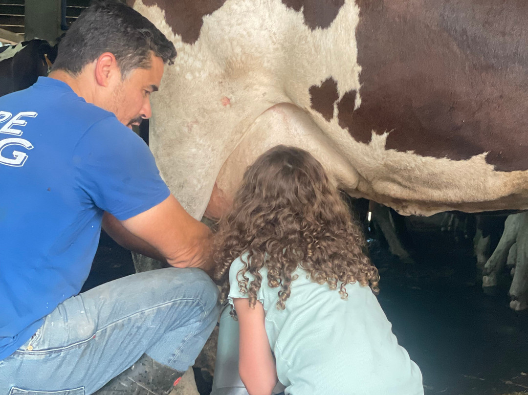 Âmago Wellness Farm-Achadinha必去景点