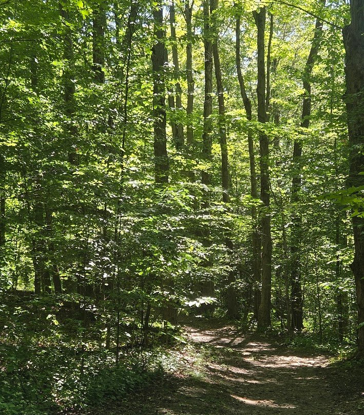Chautauqua Gorge State Forest-Mayville必去景点