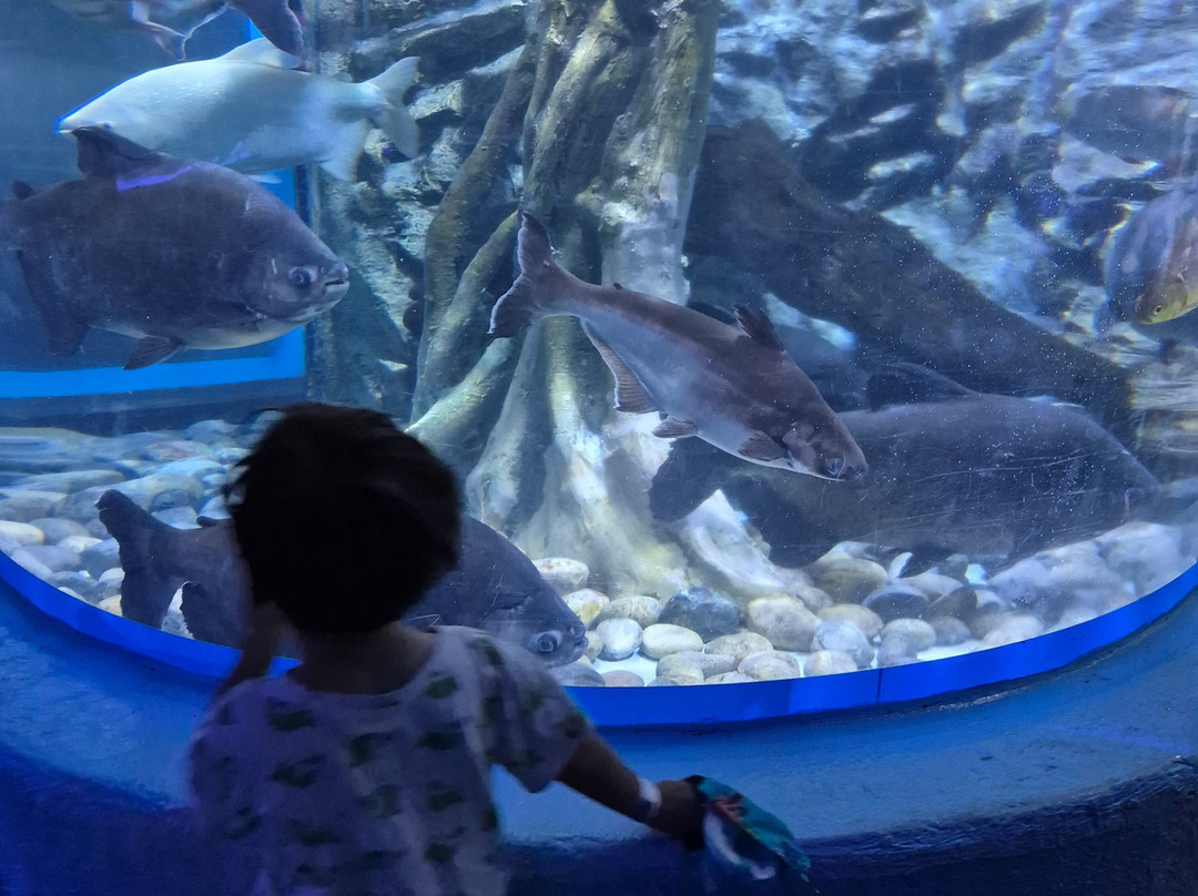互动式水族馆-坎昆必去景点