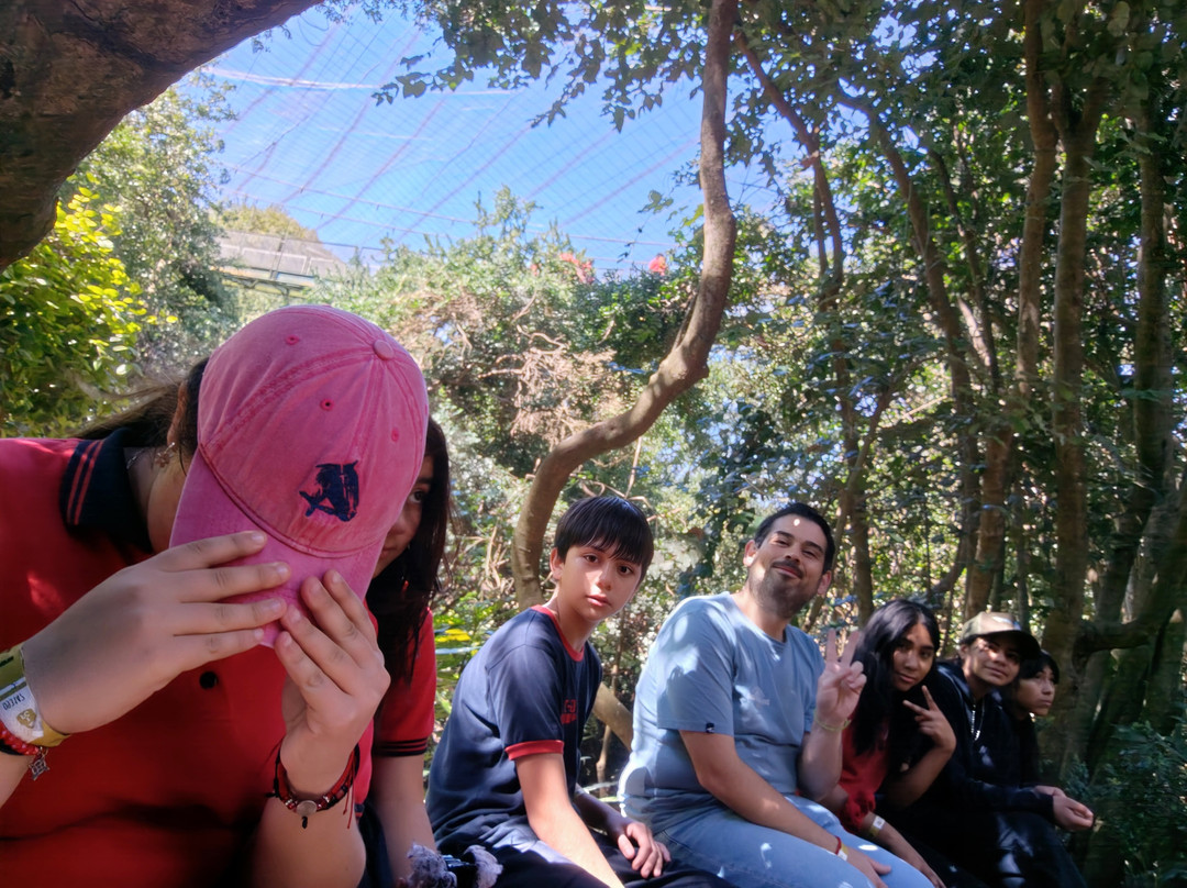 Parque Tricao-Santo Domingo必去景点