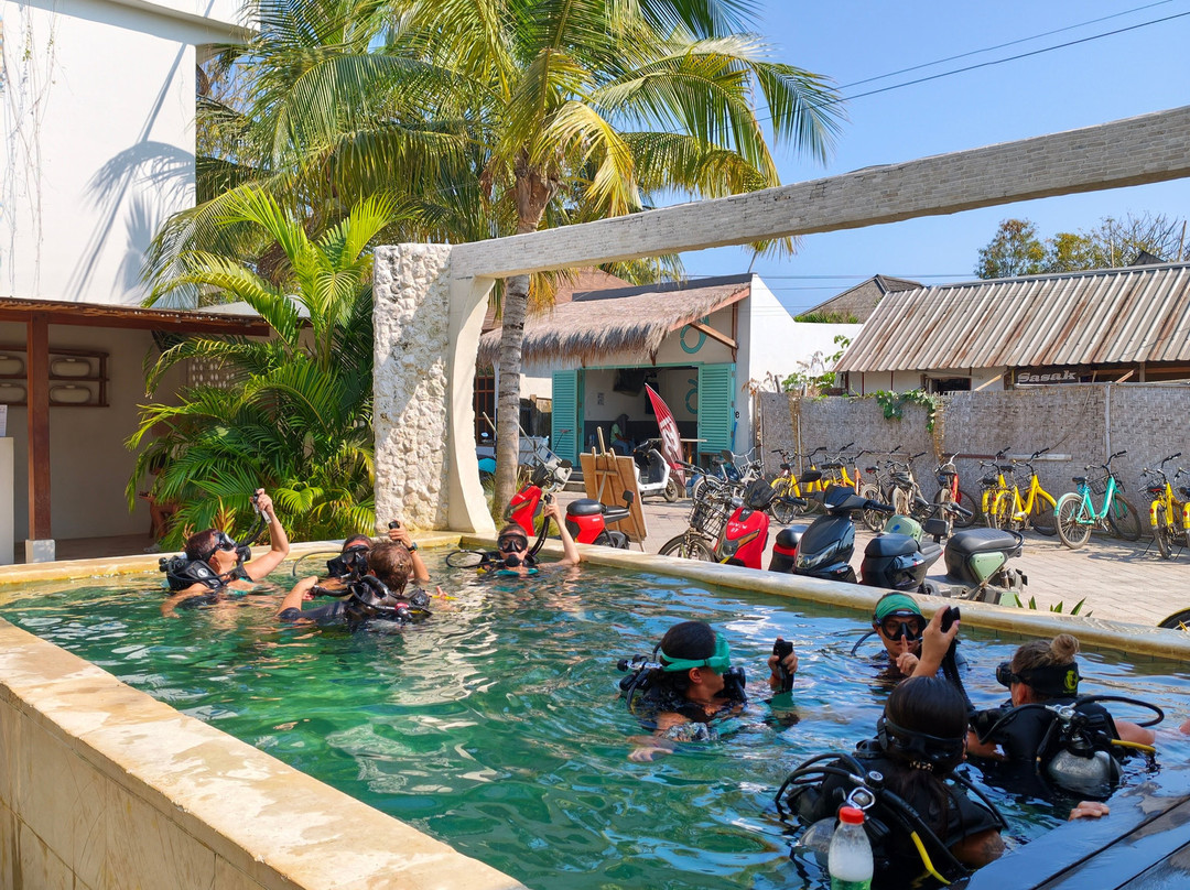 DPM Diving Gili Trawangan-吉利特拉万安必去景点