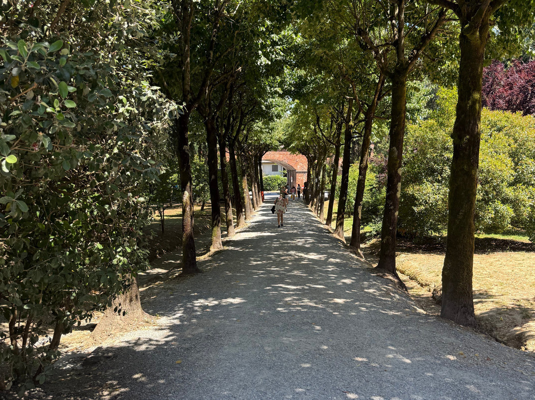 Fattoria Il Poggio-Montecarlo必去景点