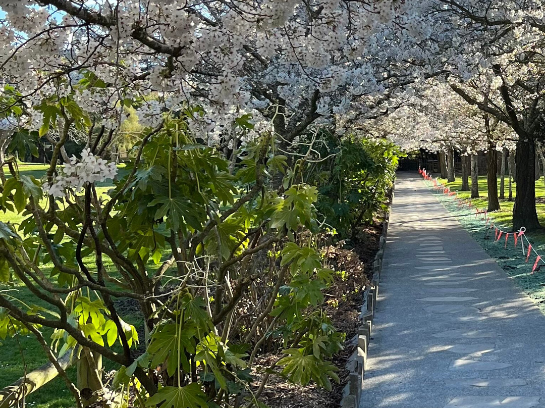 Halswell Quarry Park-基督城必去景点
