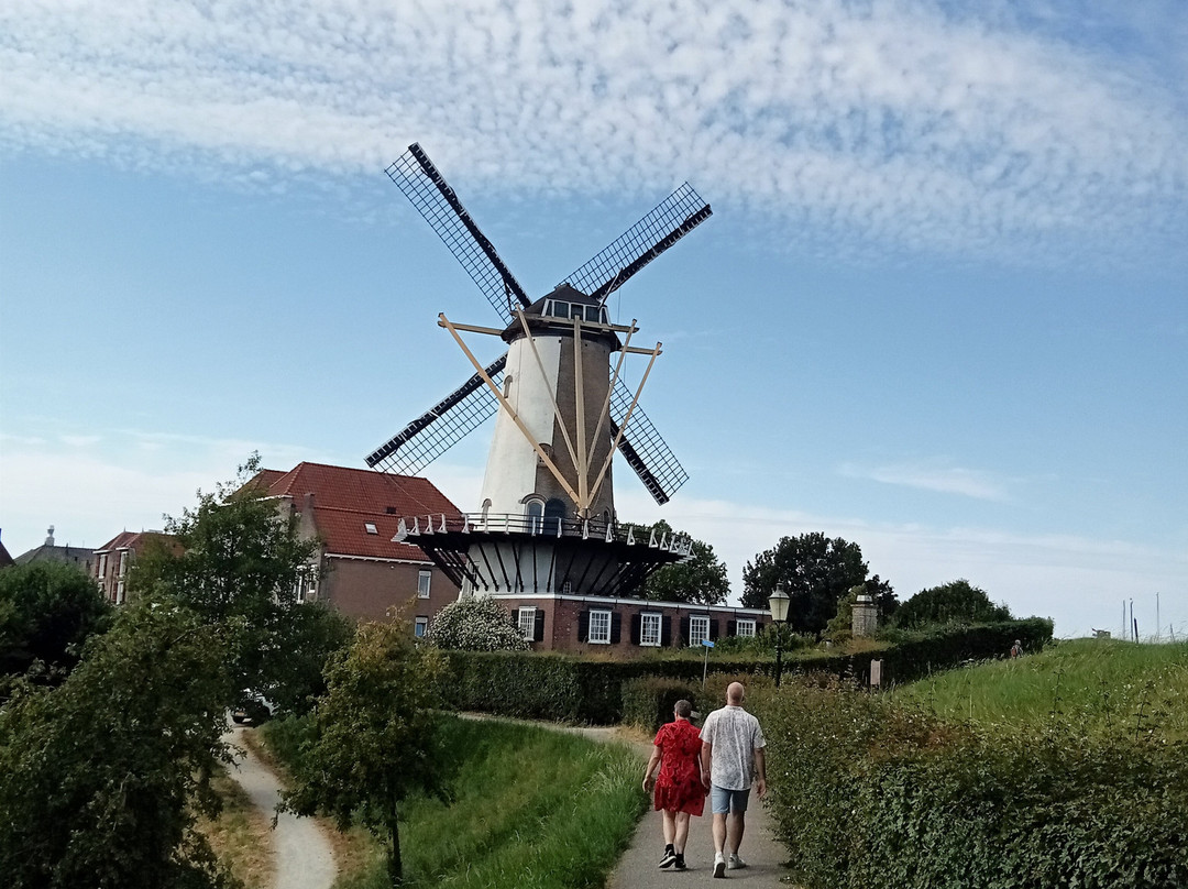 Stellingmolen D' Orange (1734)