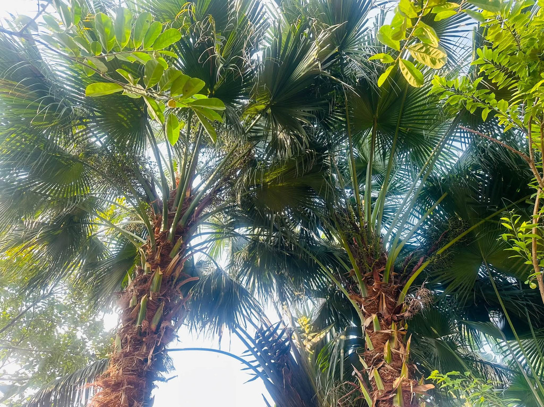 Khe Lau Lake-Nghia Thuan必去景点