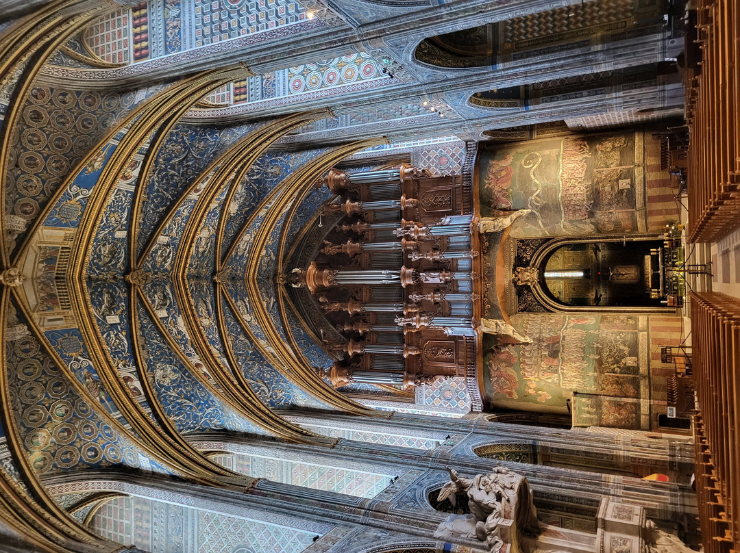 Cathédrale Sainte-Cécile-阿尔比必去景点
