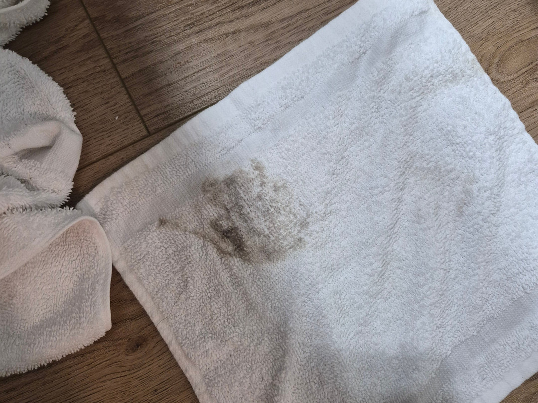 WoodSpring Suites Manassas主图