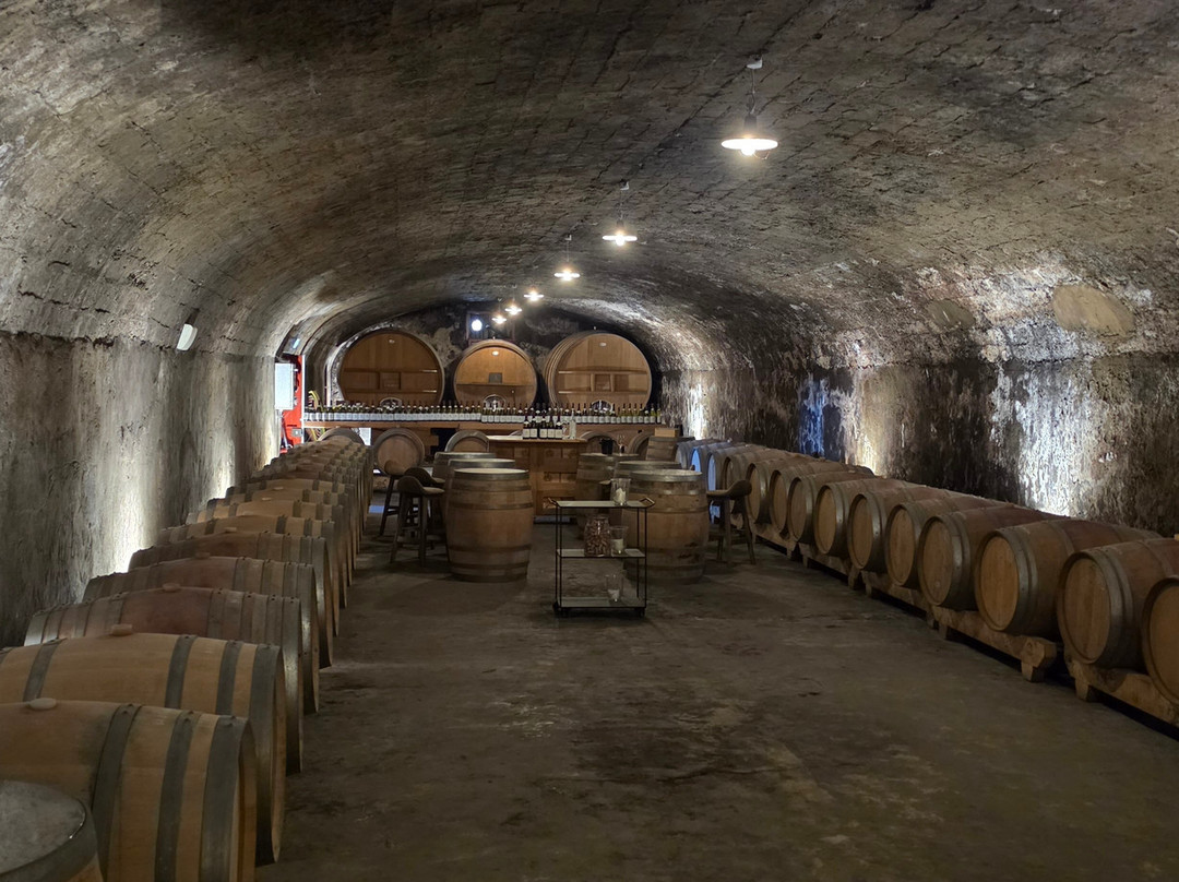 Domaine St Patrice-教皇新堡必去景点