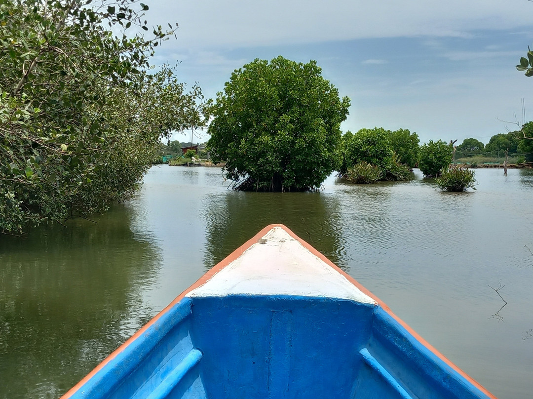 Kerala Backwaters-卡拉拉必去景点