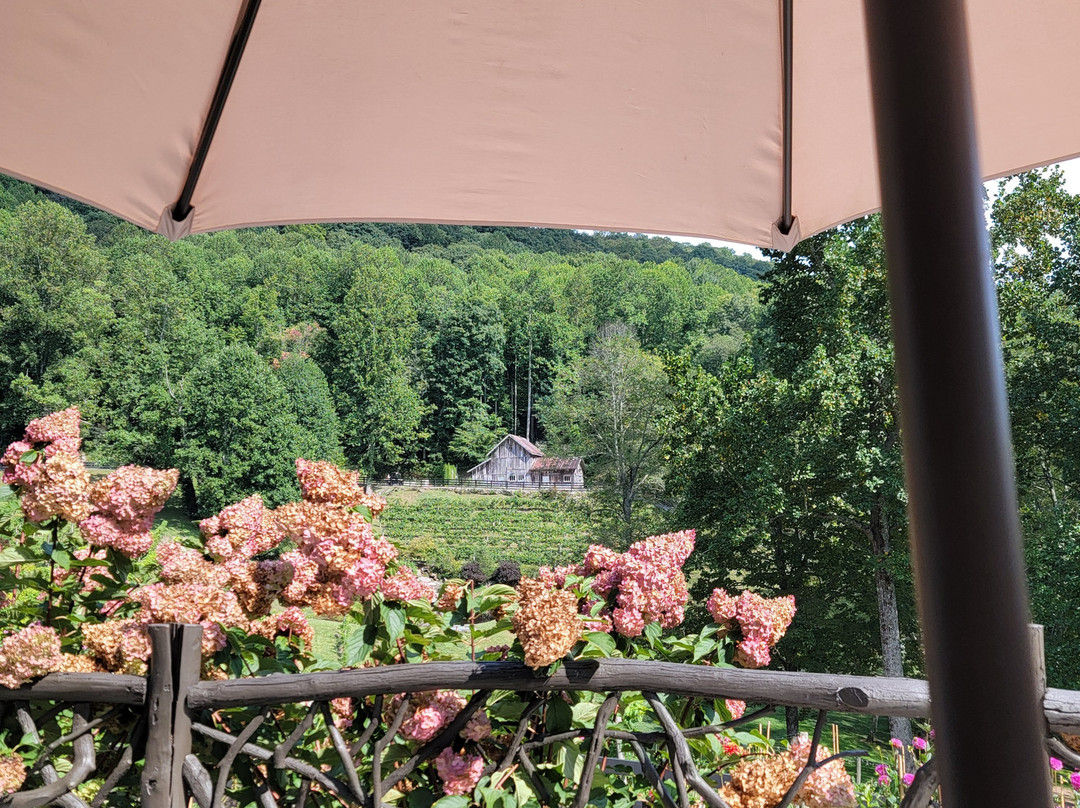 The Vineyard at High Holly