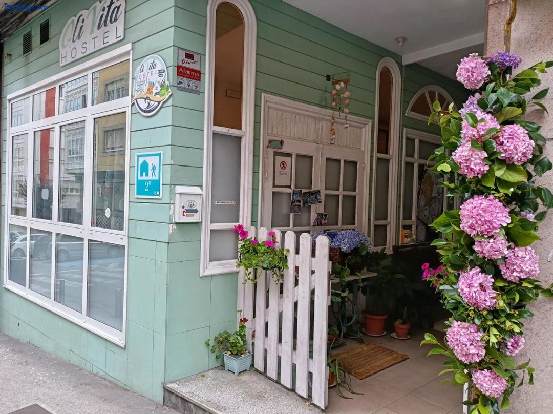 Oli Vita Hostel Albergue
