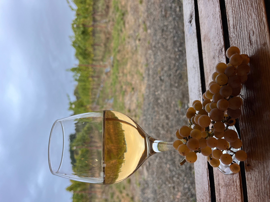 Sunnyhill Vineyard-牛津必去景点