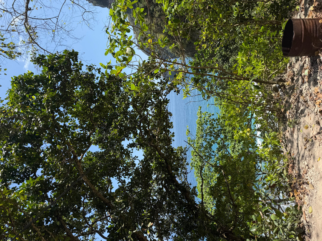 Tembeling Beach and Forest-珀尼达岛必去景点