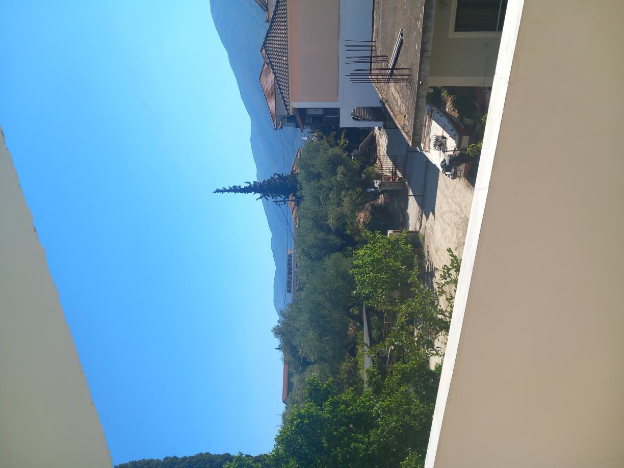 Avra Studios-旅行者