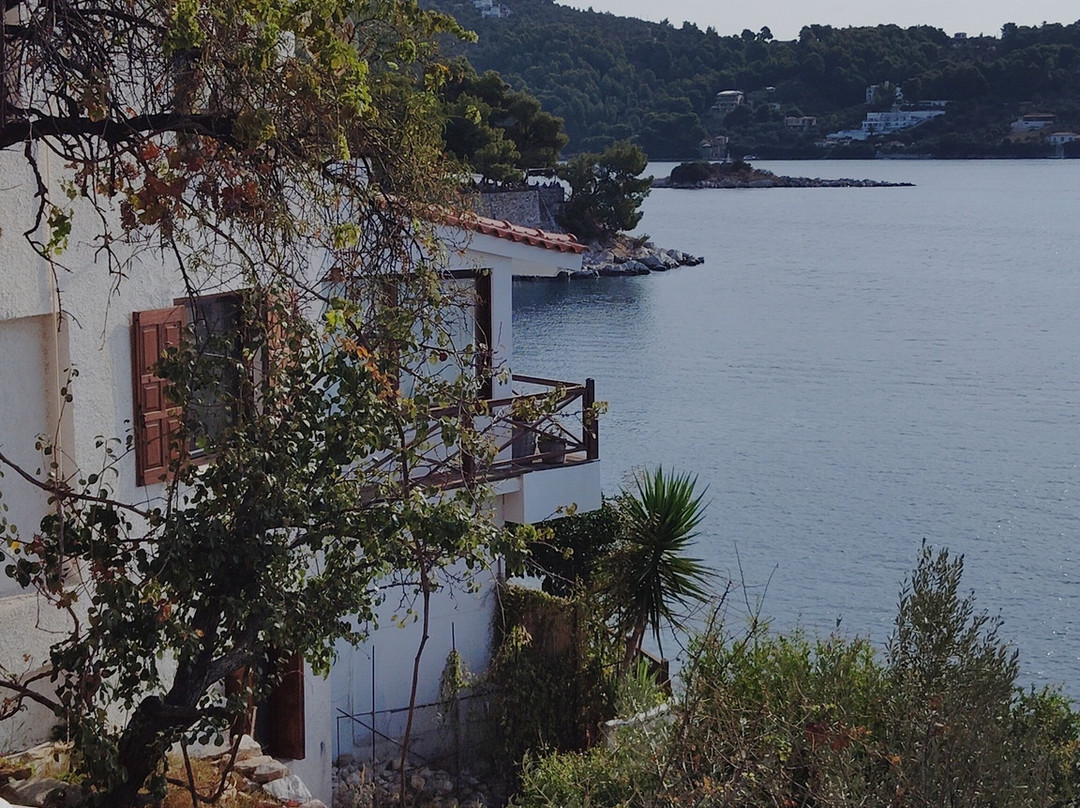 Chrysoula's Guest House主图