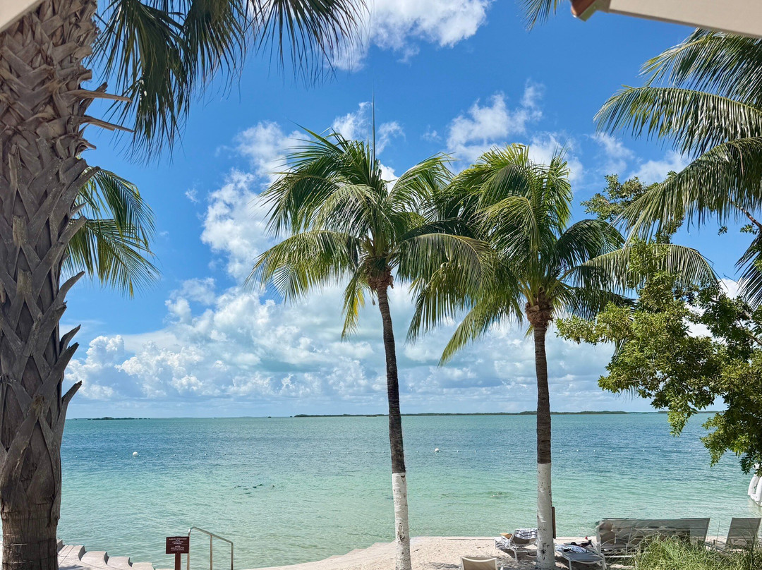 拉哥岛酒店住宿-Playa Largo Resort & Spa, Autograph Collection