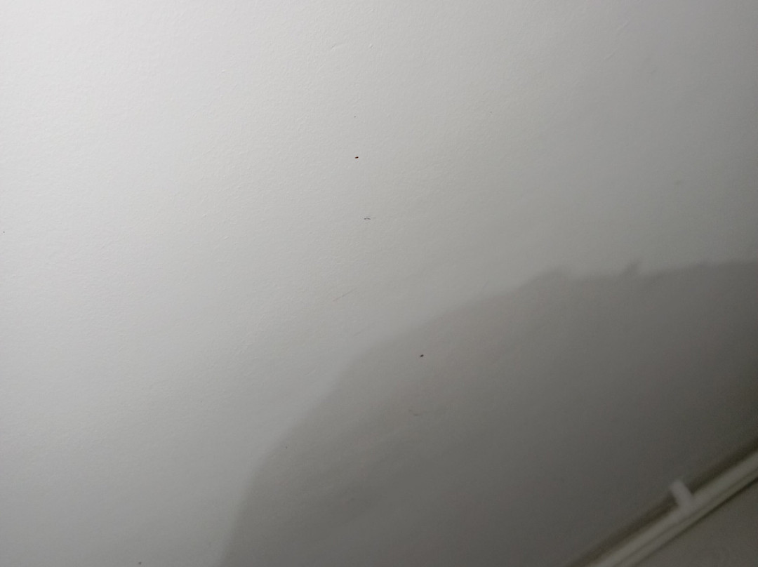 洛林别墅主图