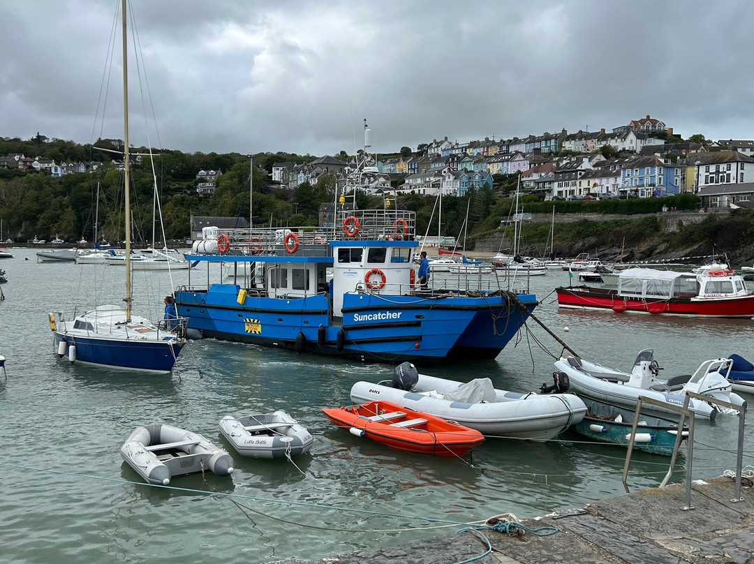 Dolphin Spotting Boat Trips (by New Quay Boat Trips)-纽基必去景点