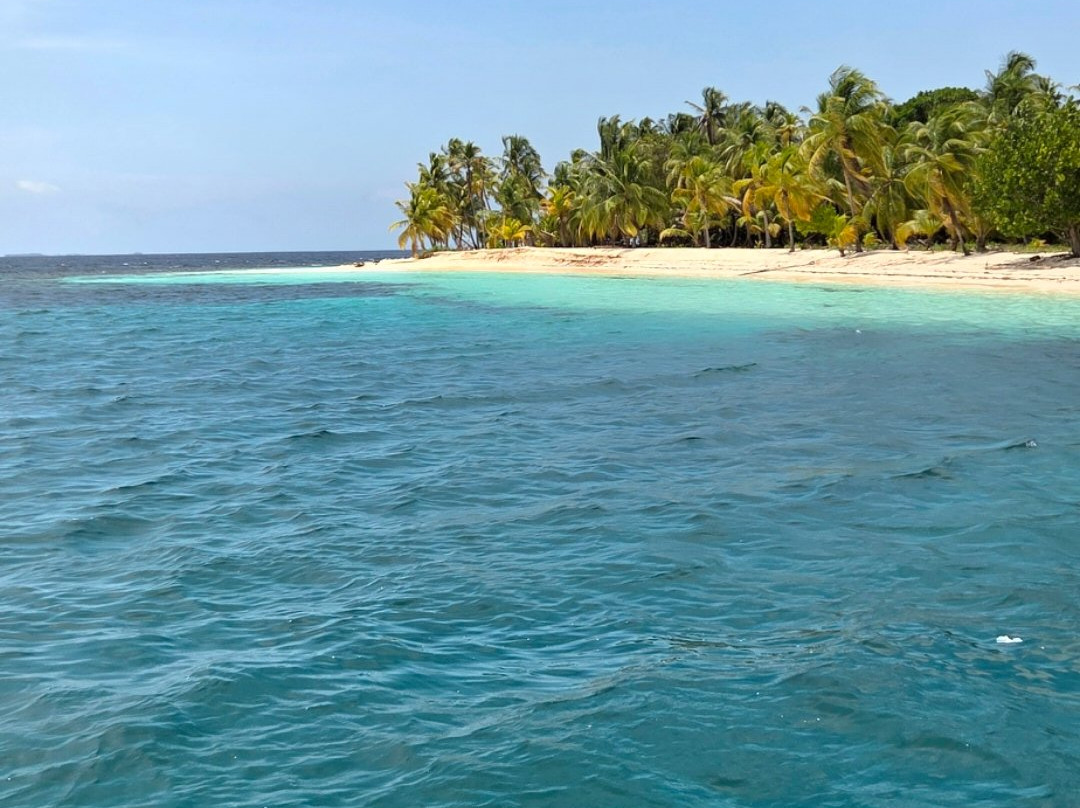 Sail Boat Trips & San Blas Catamarans-Carti Tupile必去景点