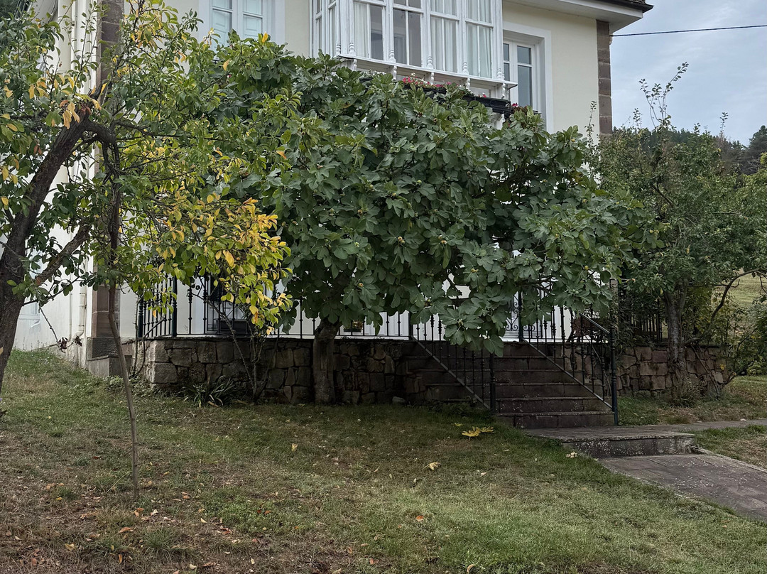 Villa Elena