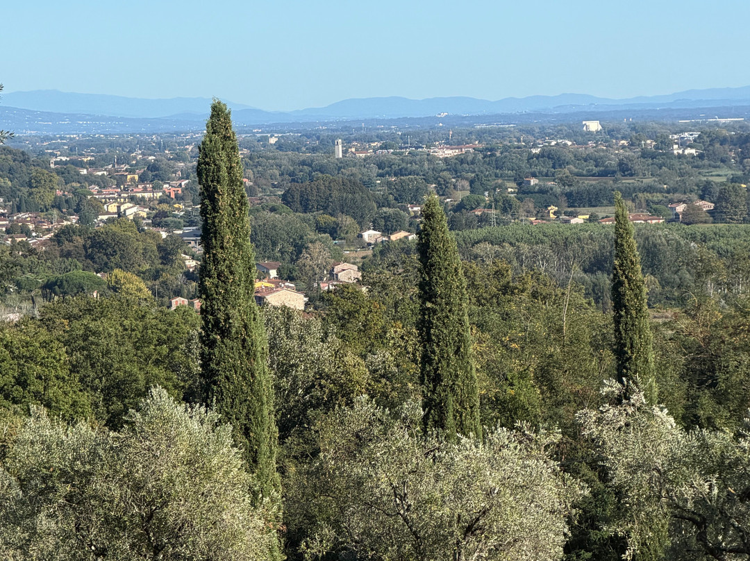 Fattoria Al Dotto-卢卡必去景点