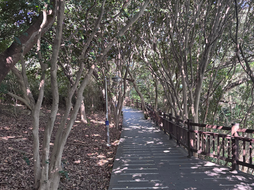 Dolsan Park-丽水市必去景点