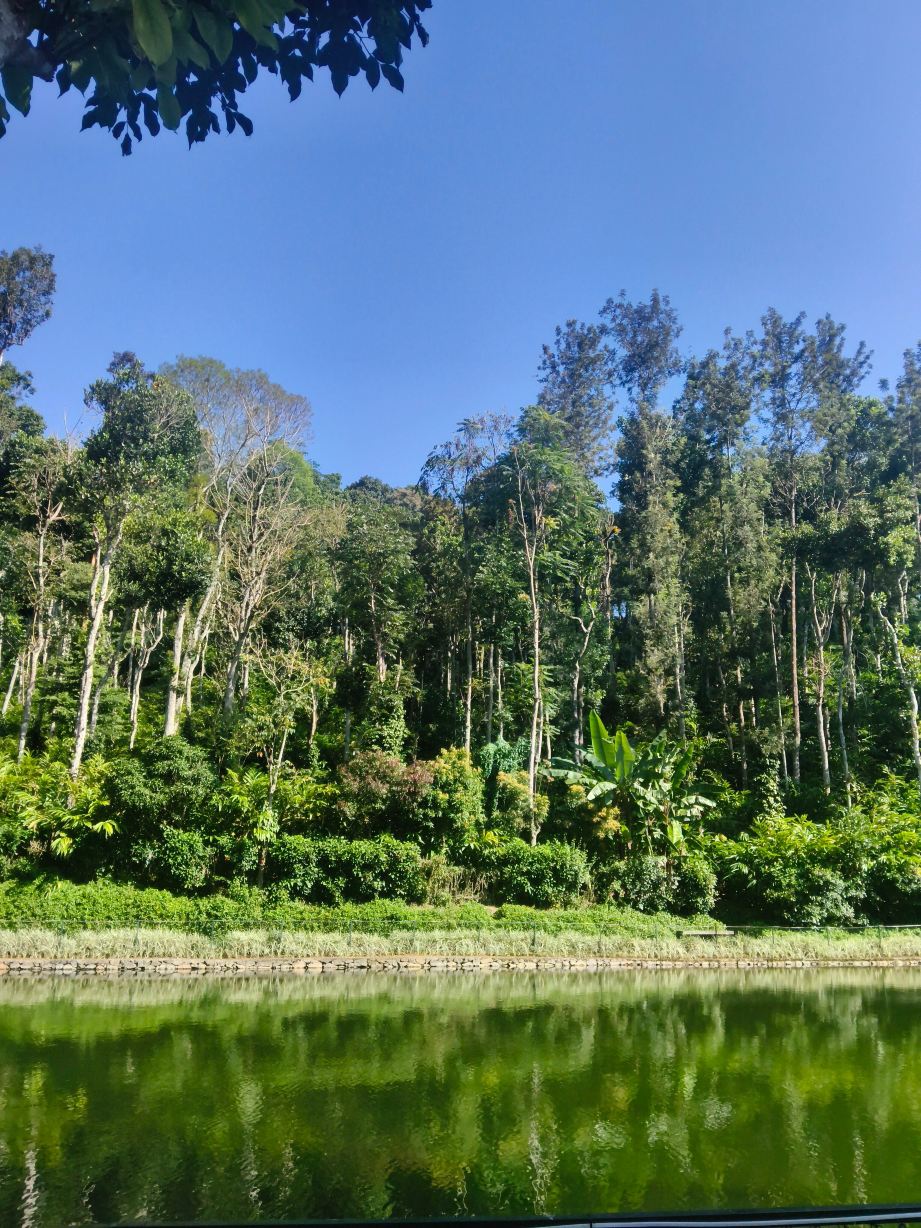 Amaana Plantation Resort-酒店景观