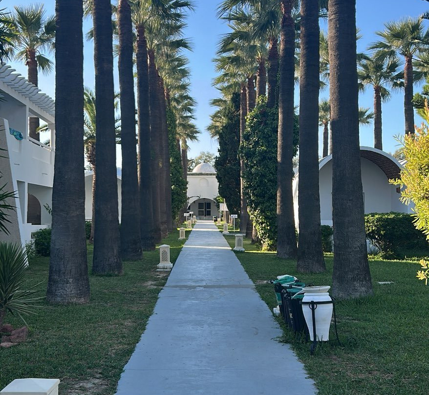 Hammamet Beach-哈玛麦德必去景点