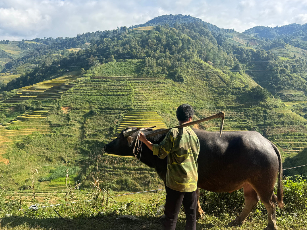 Hmong Immersive Tour-Mu Cang Chai必去景点