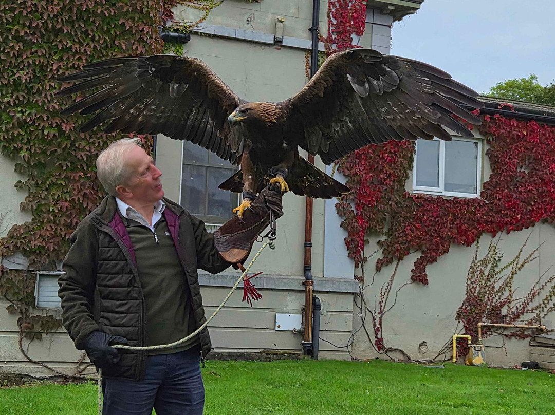 Newgrange Falconry-Julianstown必去景点