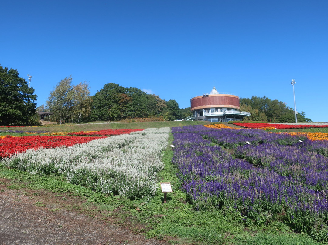 Flower Garden Hana Tento