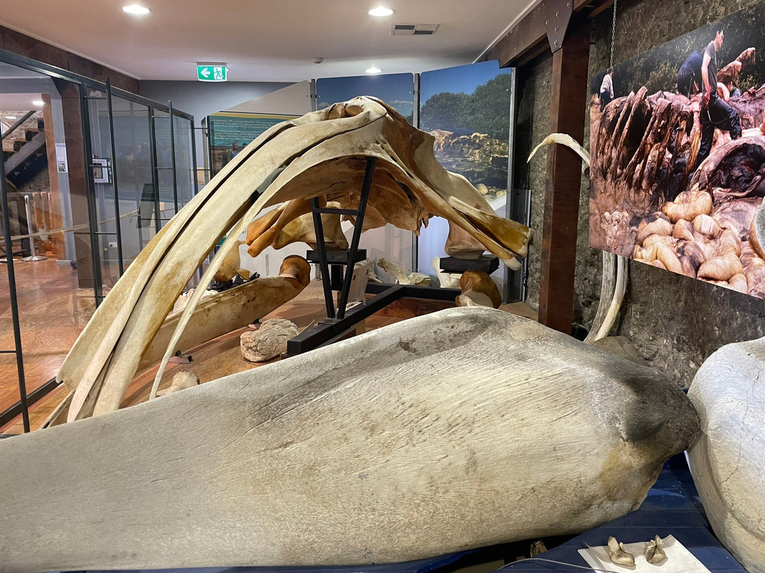 Victor Harbor Visitor Centre-维克多港必去景点