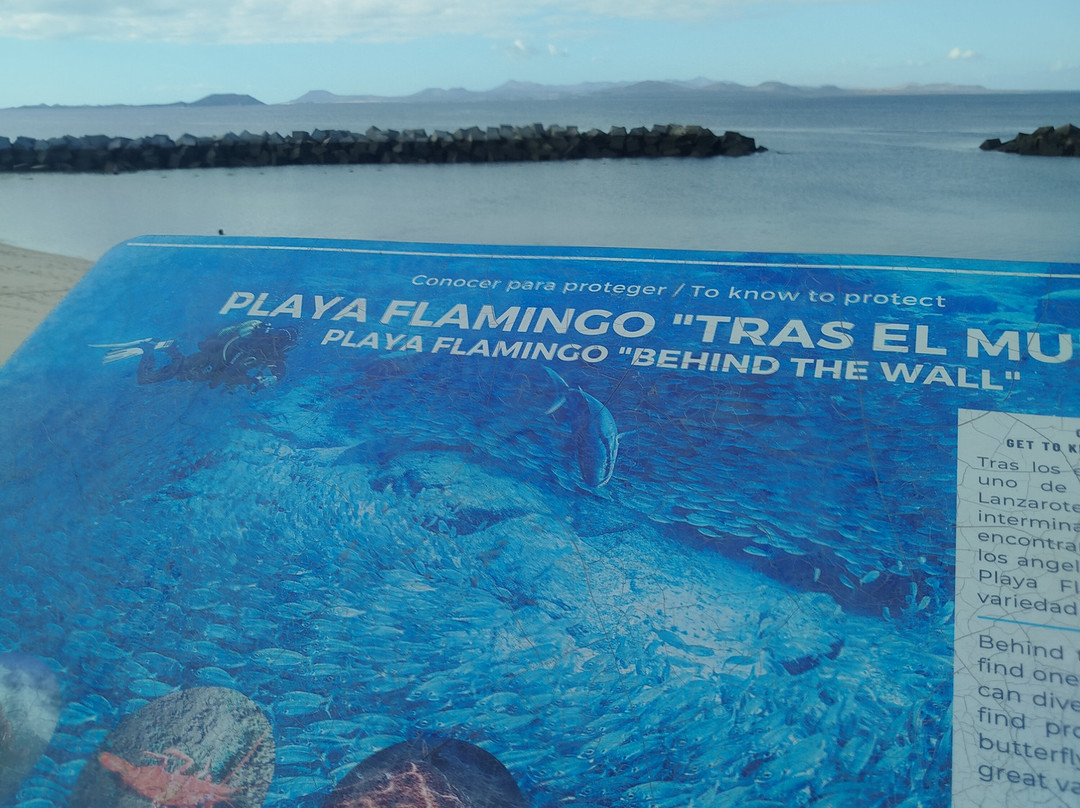 Playa Flamingo-布兰卡滩必去景点