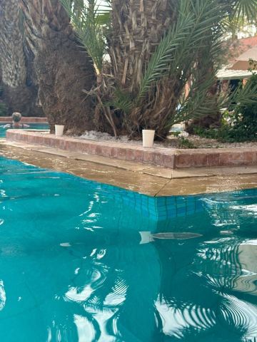 Club Med Marrakech la Palmeraie-泳池