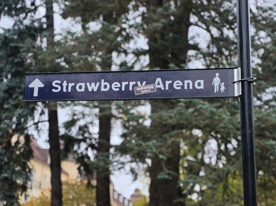 Strawberry Arena-索尔纳必去景点