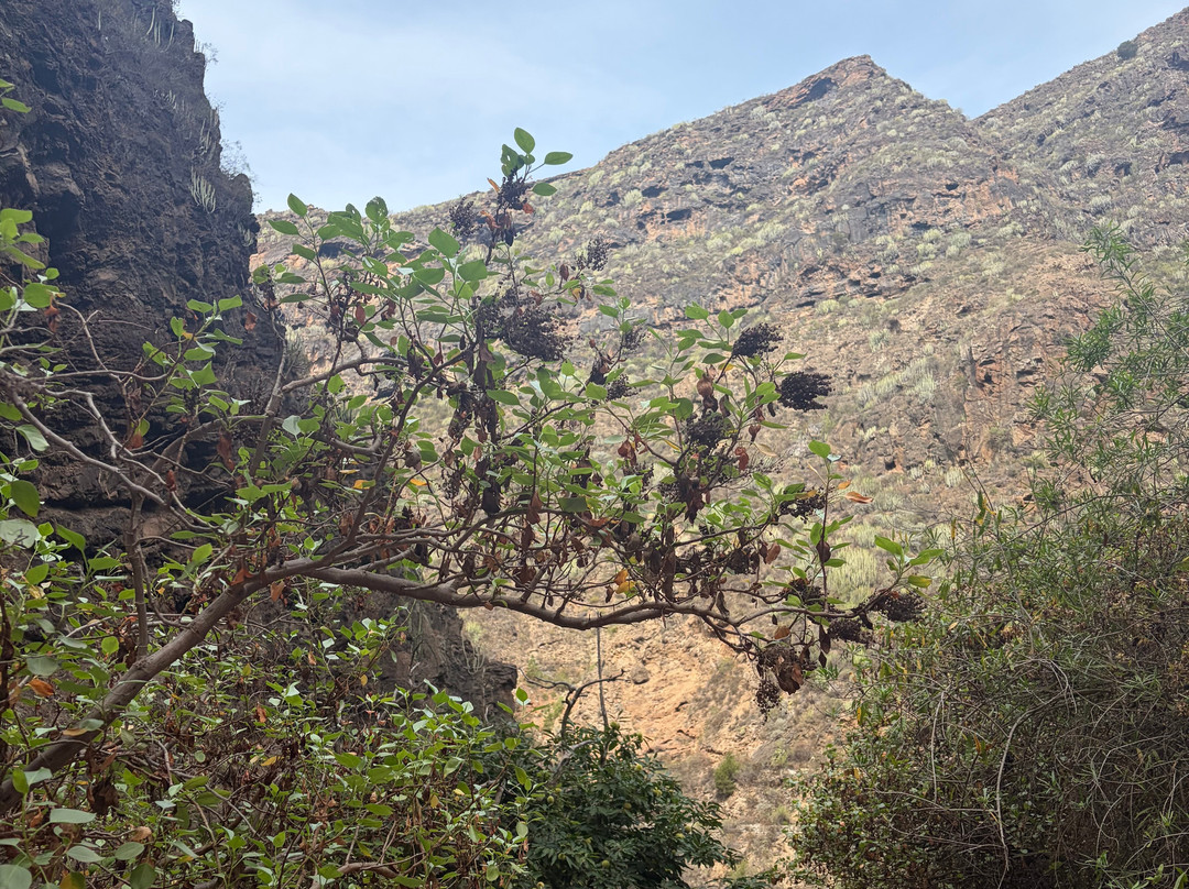 Barranco Del Infierno-奥德杰海岸必去景点