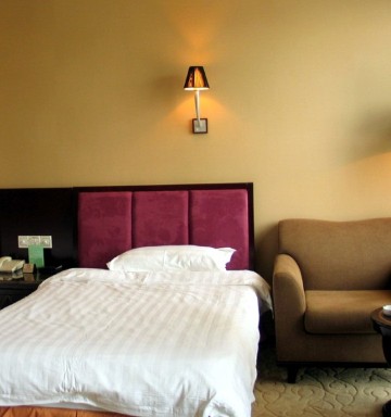 金田大酒店-客卧