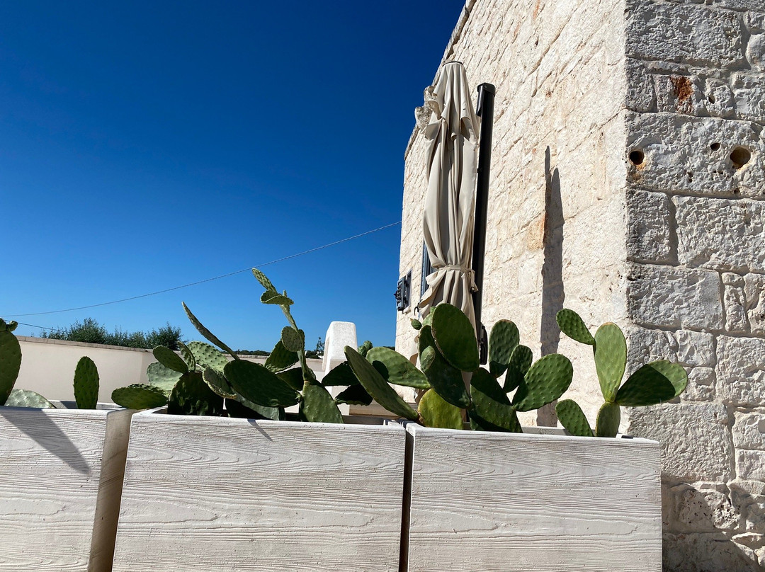 Tenuta Ermes